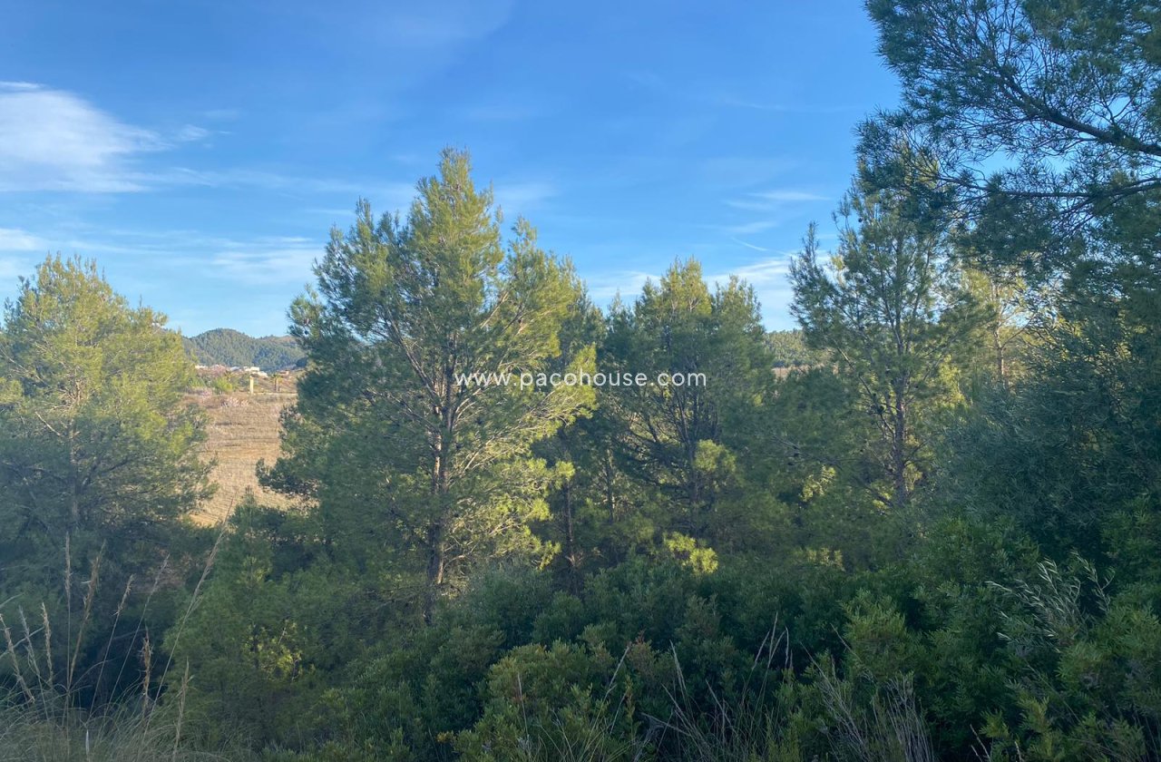 Resale - Plot / Land -
La Parroquia