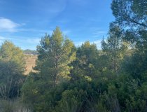 Resale - Plot / Land -
La Parroquia