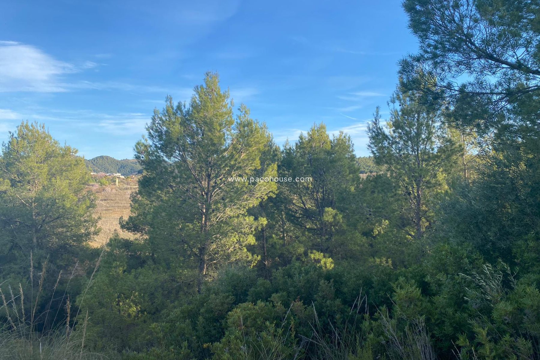 Resale - Plot / Land -
La Parroquia