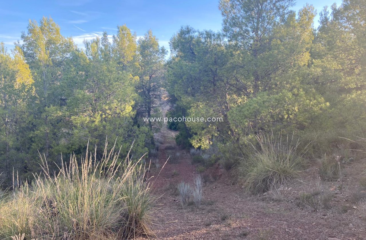 Resale - Plot / Land -
La Parroquia