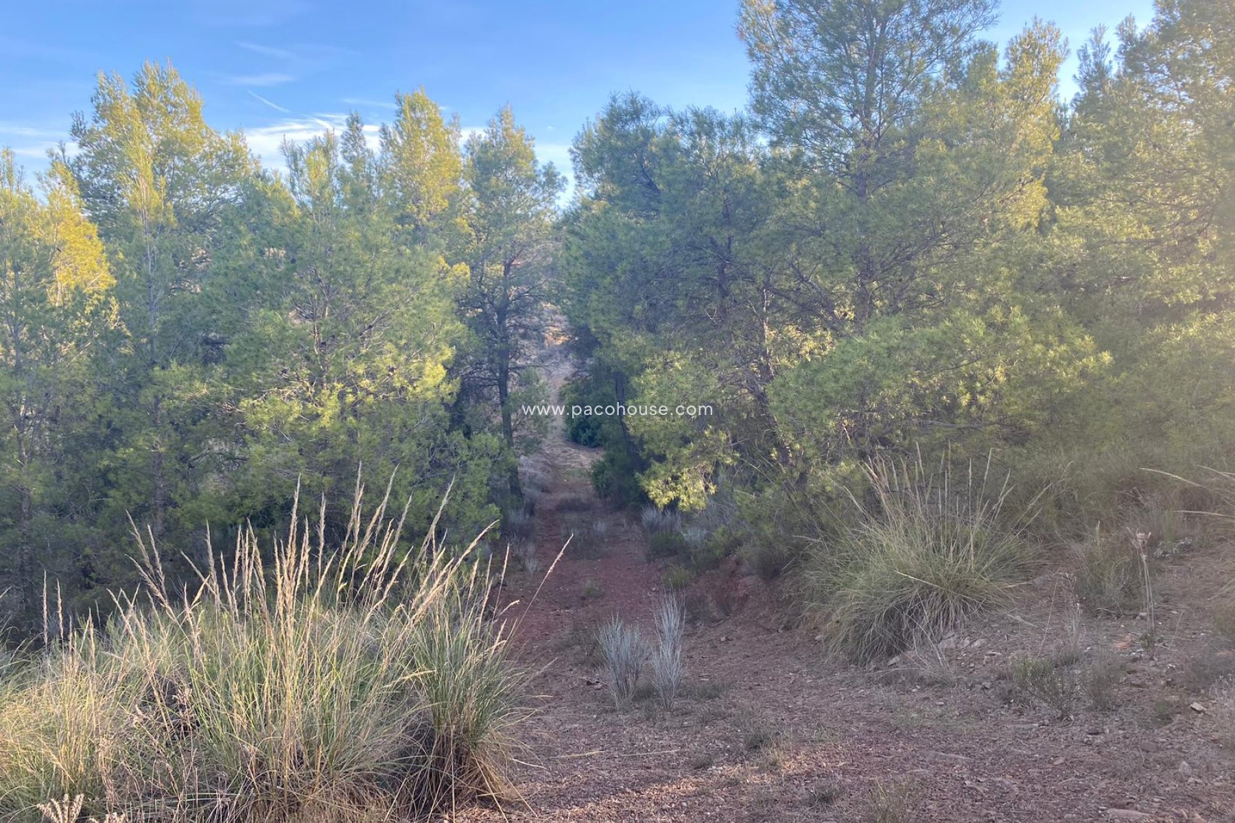 Resale - Plot / Land -
La Parroquia