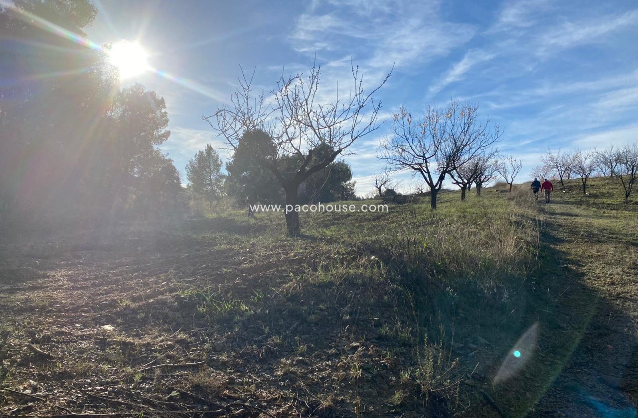 Resale - Plot / Land -
La Parroquia