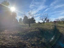 Resale - Plot / Land -
La Parroquia