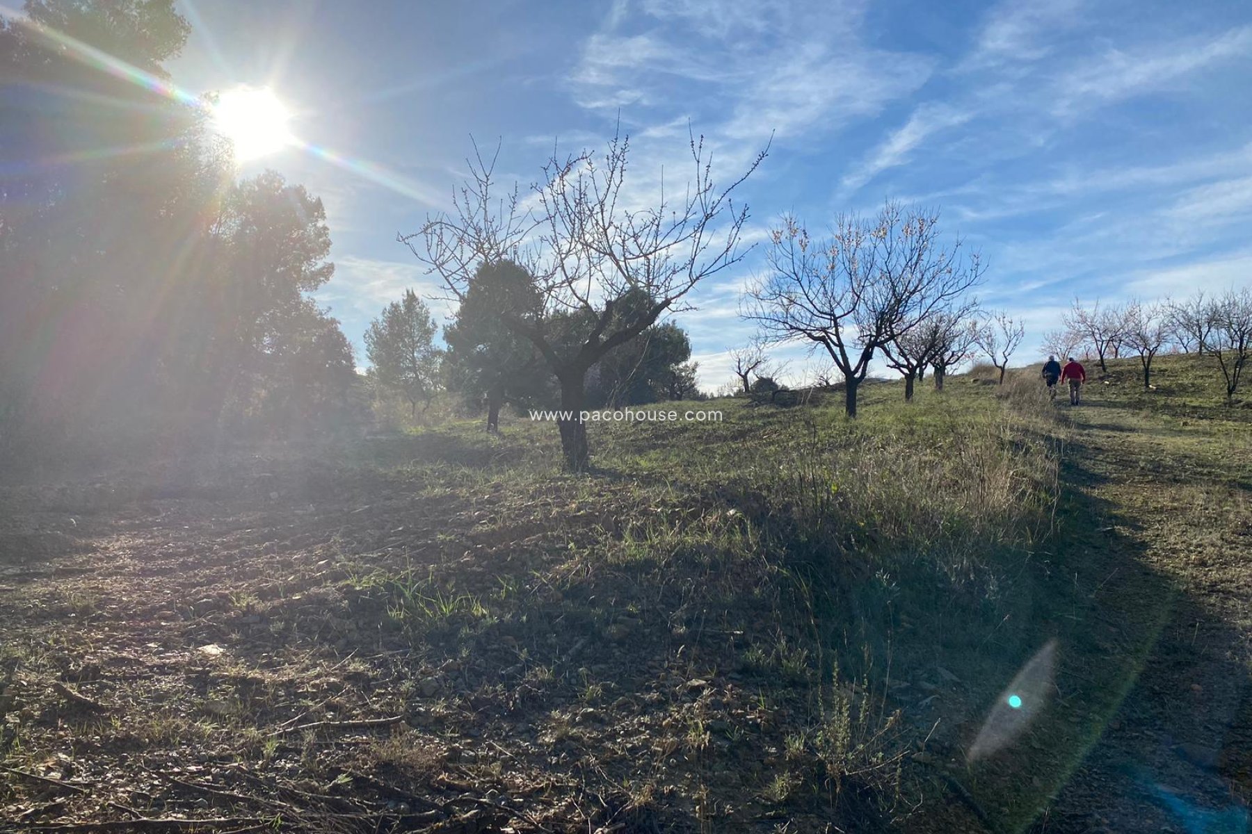 Resale - Plot / Land -
La Parroquia