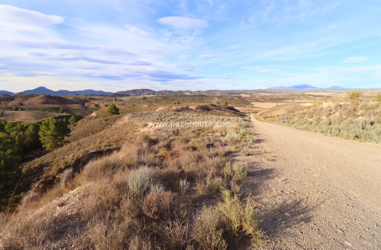 Resale - Plot / Land -
La Parroquia