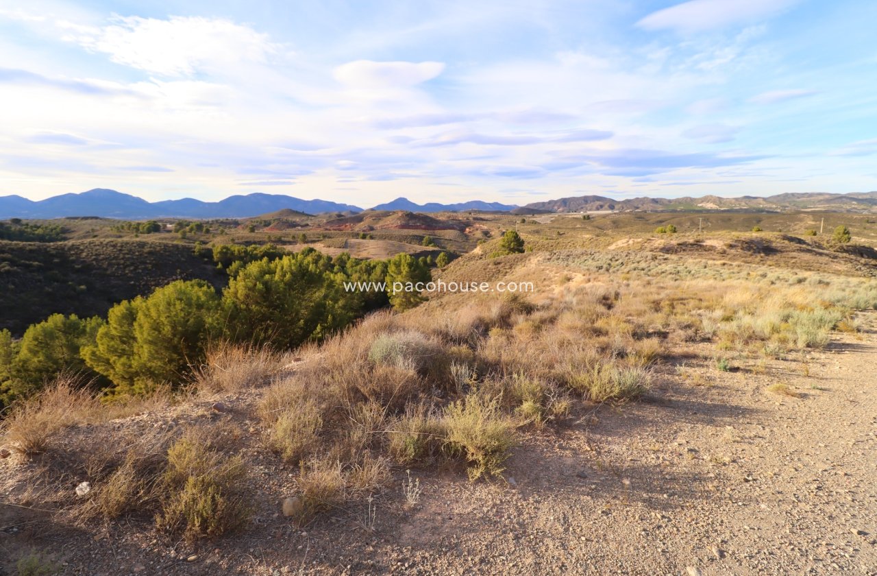 Resale - Plot / Land -
La Parroquia
