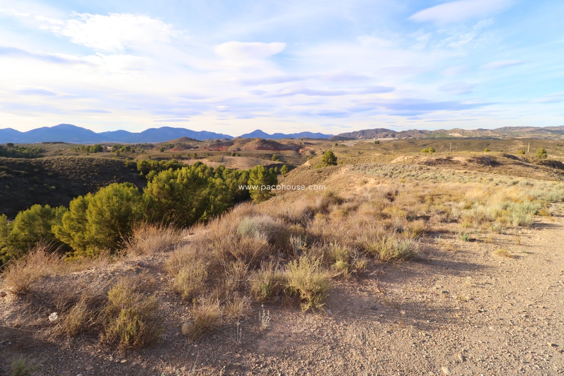 Resale - Plot / Land -
La Parroquia