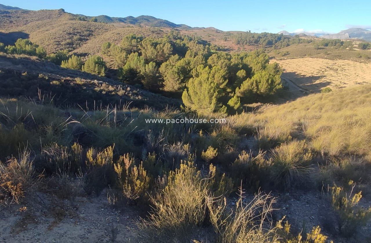 Resale - Plot / Land -
La Parroquia