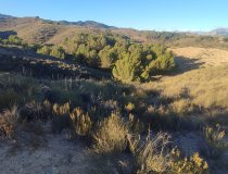 Resale - Plot / Land -
La Parroquia