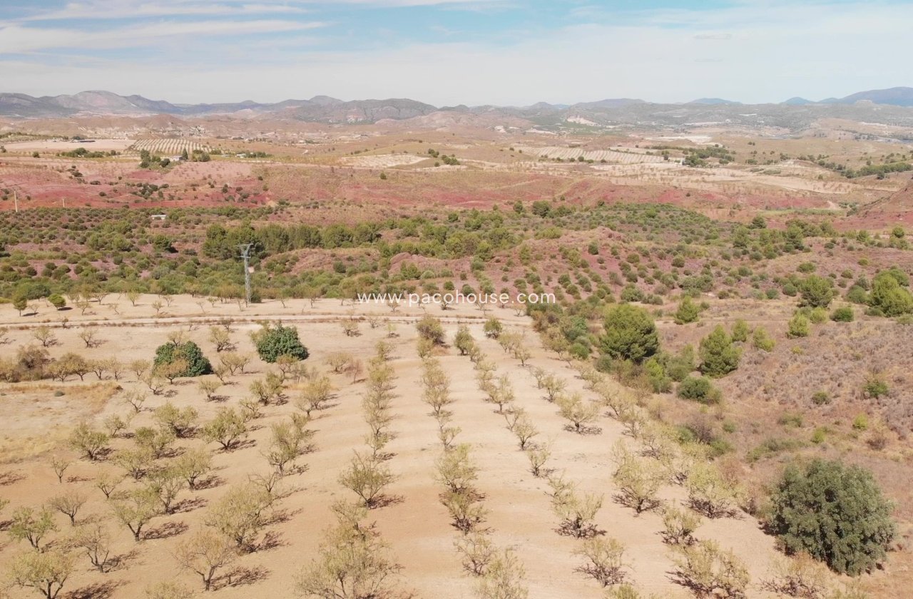 Resale - Plot / Land -
La Parroquia