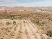 Resale - Plot / Land -
La Parroquia