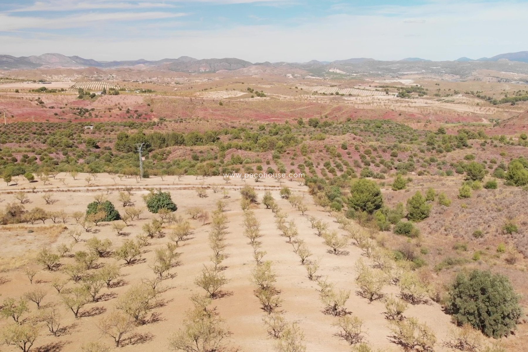 Resale - Plot / Land -
La Parroquia