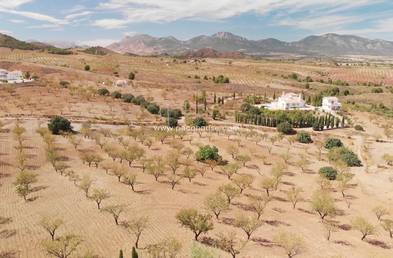 Resale - Plot / Land -
La Parroquia