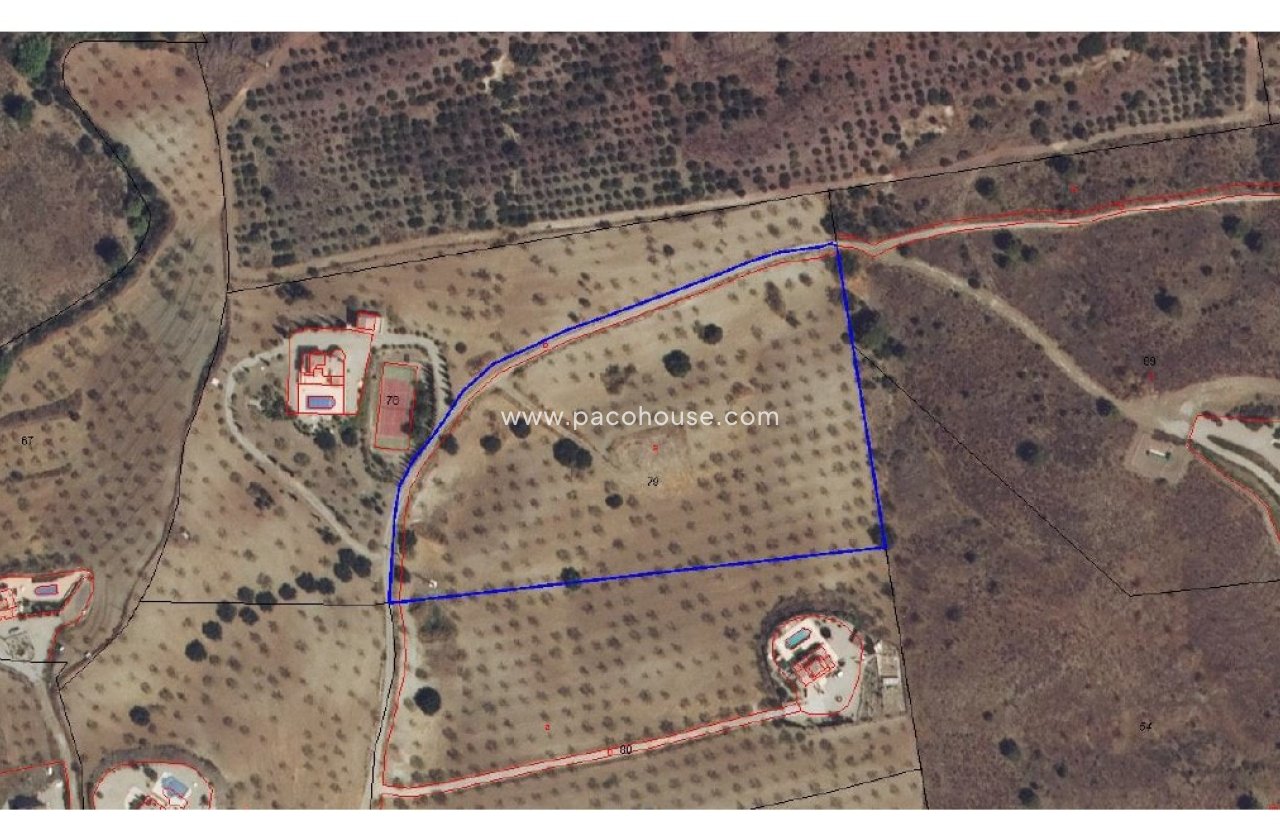 Resale - Plot / Land -
La Parroquia