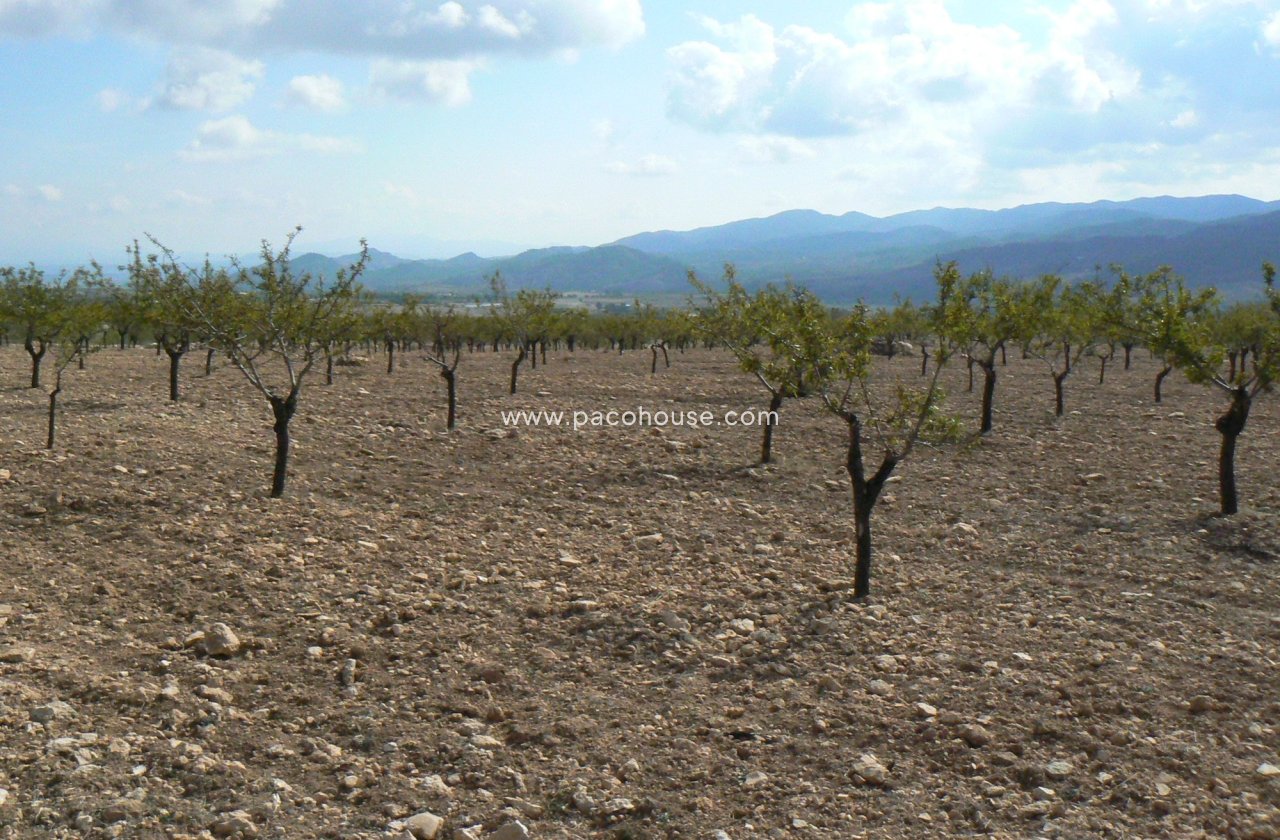 Resale - Plot / Land -
La Parroquia