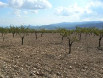 Resale - Plot / Land -
La Parroquia