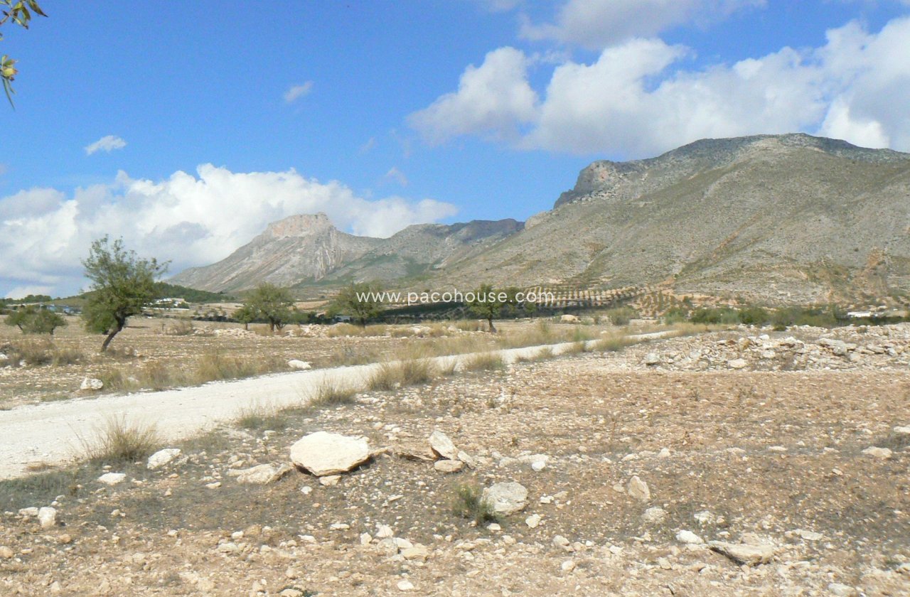 Resale - Plot / Land -
La Parroquia
