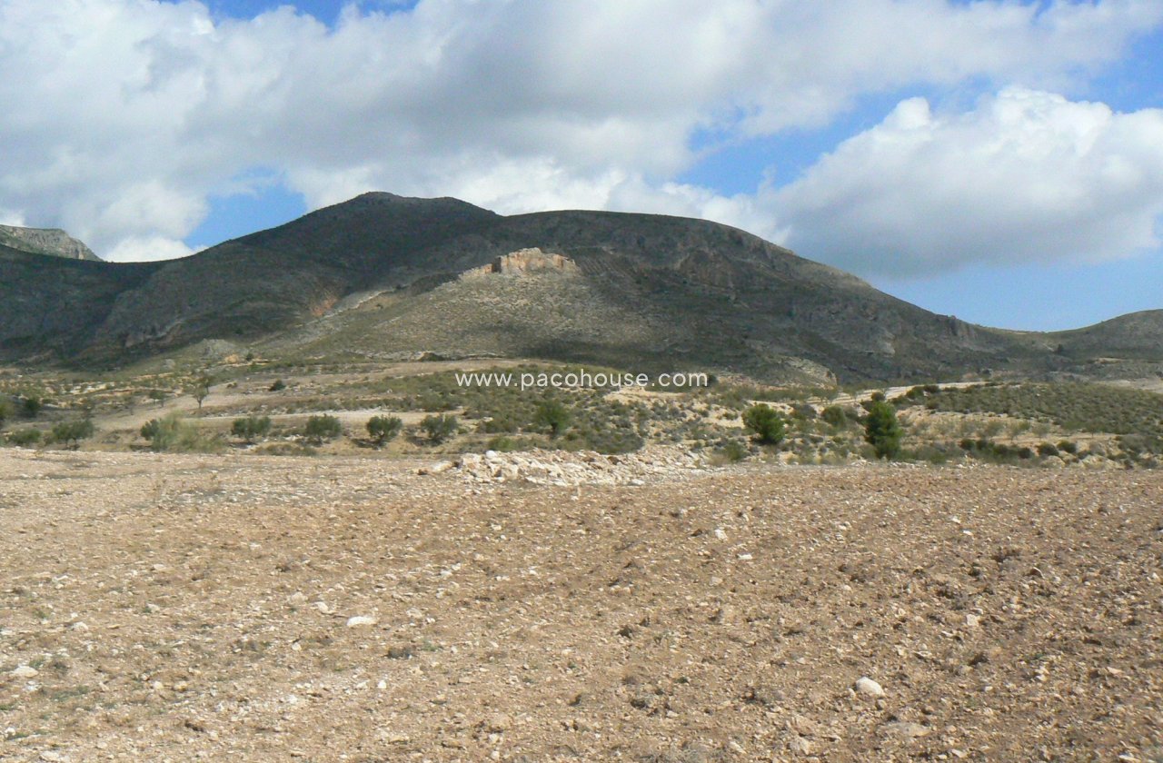 Resale - Plot / Land -
La Parroquia