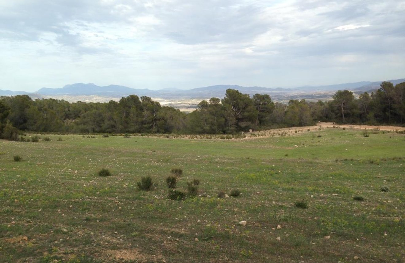 Resale - Plot / Land -
La Parroquia