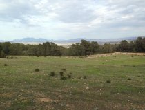 Resale - Plot / Land -
La Parroquia