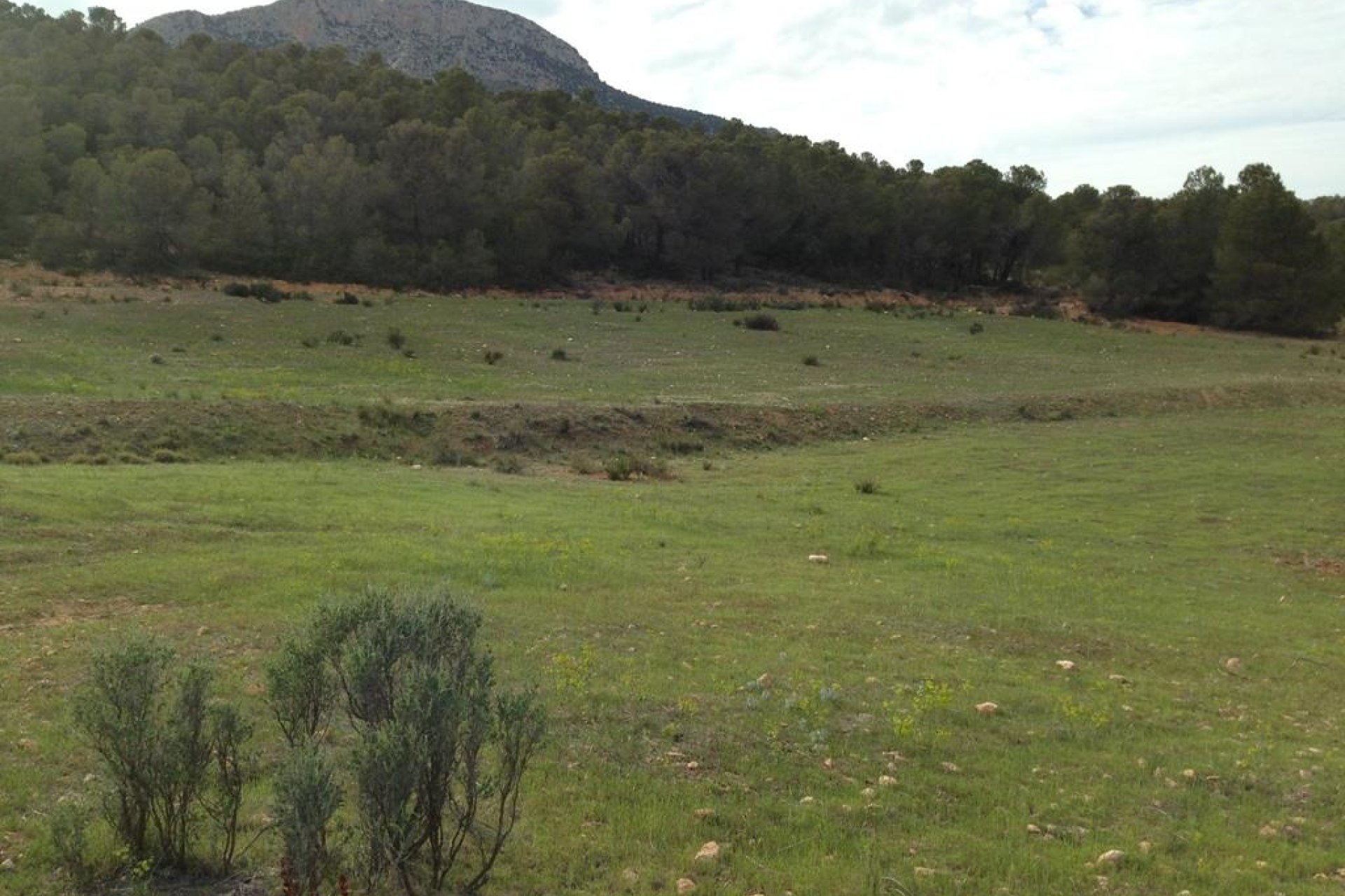 Resale - Plot / Land -
La Parroquia