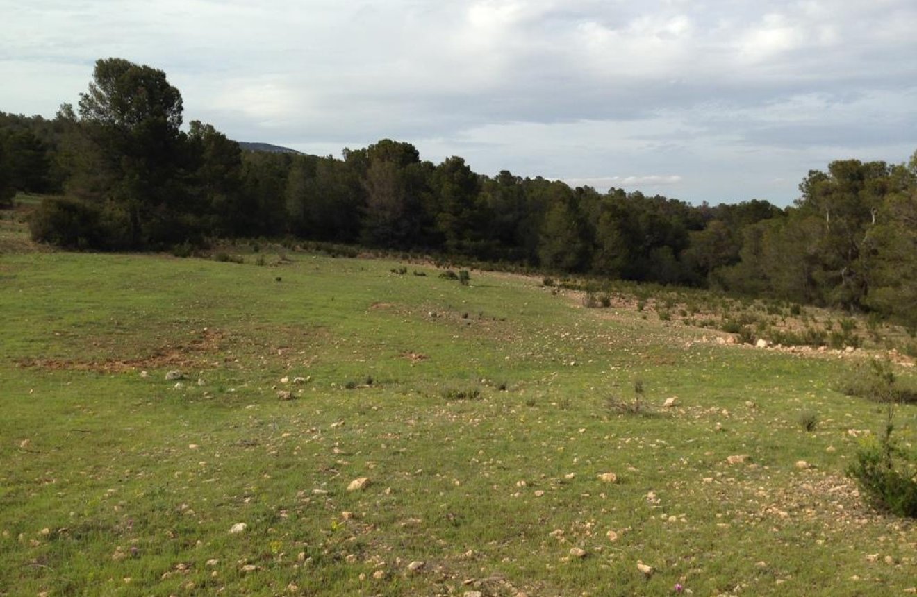 Resale - Plot / Land -
La Parroquia