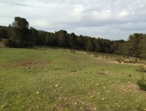 Resale - Plot / Land -
La Parroquia