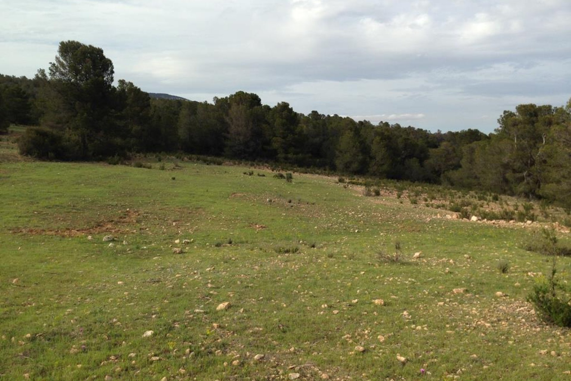 Resale - Plot / Land -
La Parroquia