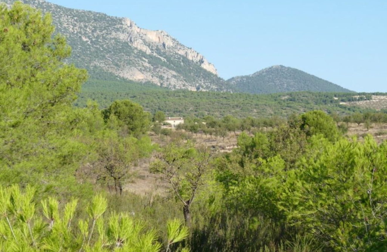 Resale - Plot / Land -
La Parroquia