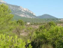 Resale - Plot / Land -
La Parroquia