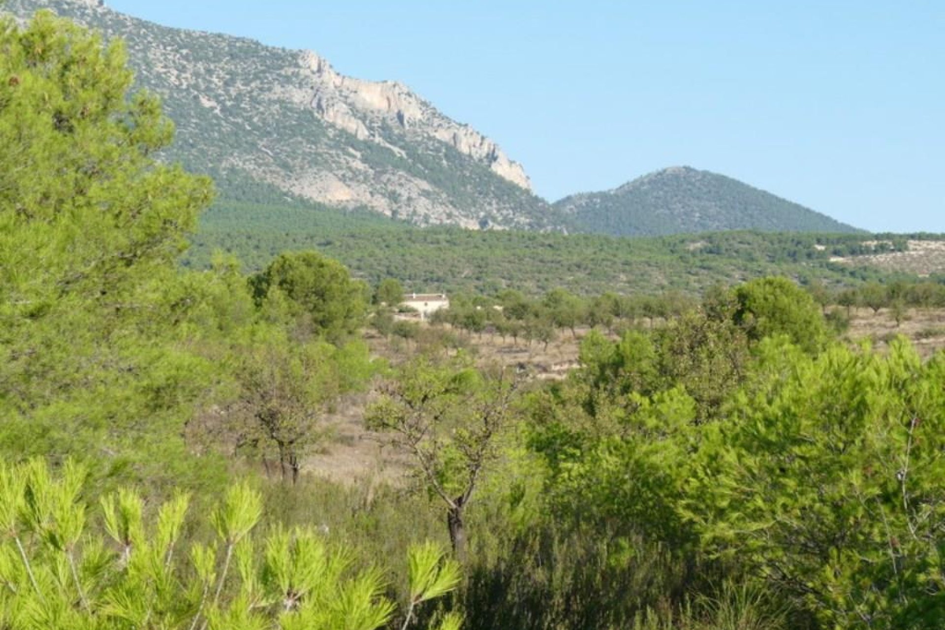 Resale - Plot / Land -
La Parroquia