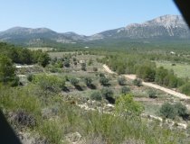 Resale - Plot / Land -
La Parroquia