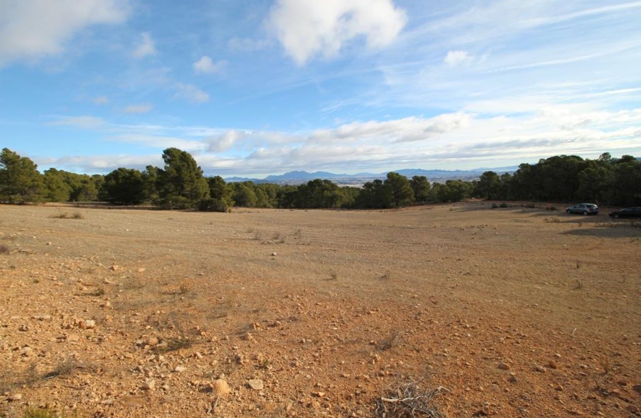 Resale - Plot / Land -
La Parroquia
