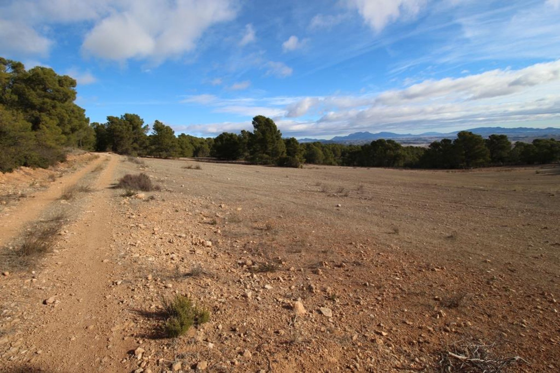 Resale - Plot / Land -
La Parroquia