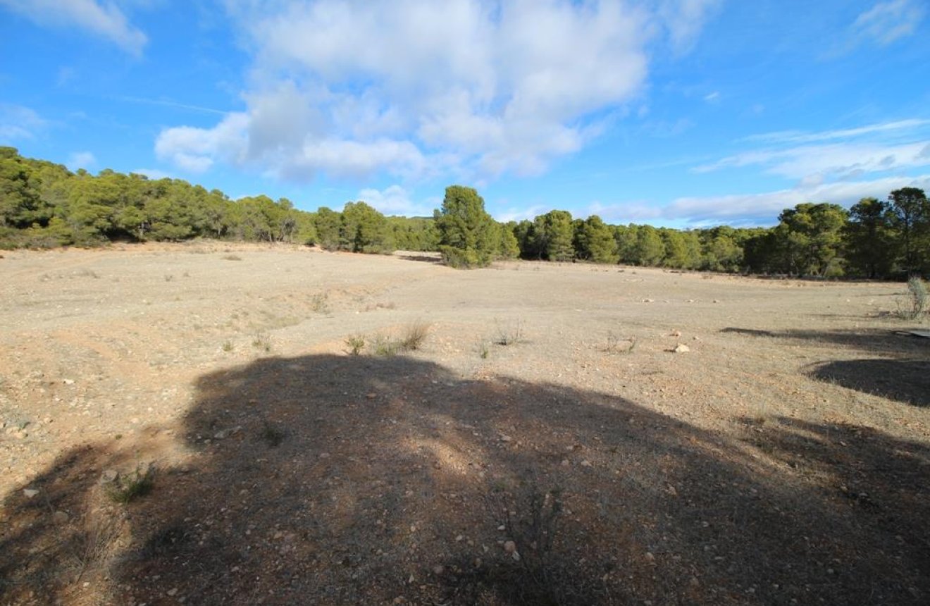 Resale - Plot / Land -
La Parroquia