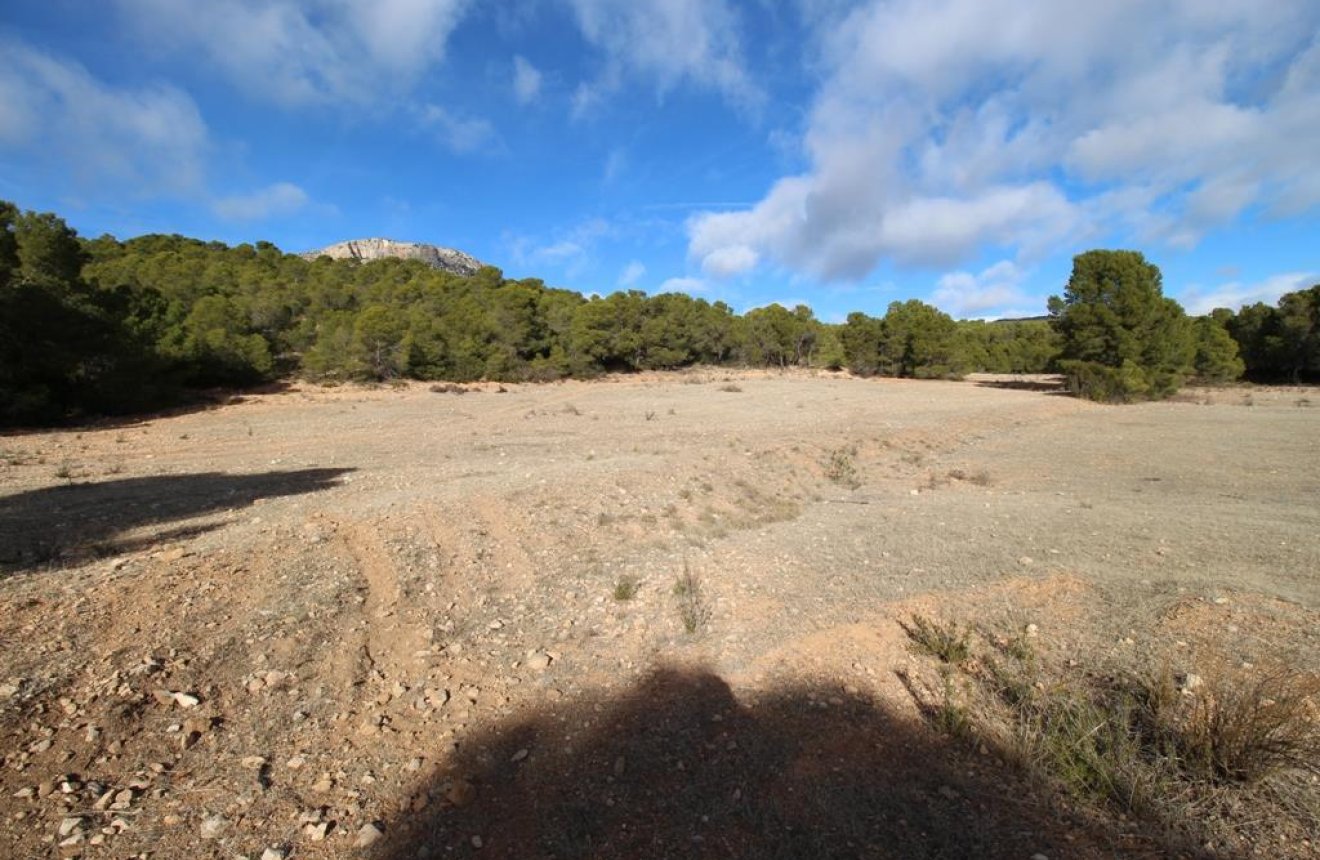 Resale - Plot / Land -
La Parroquia
