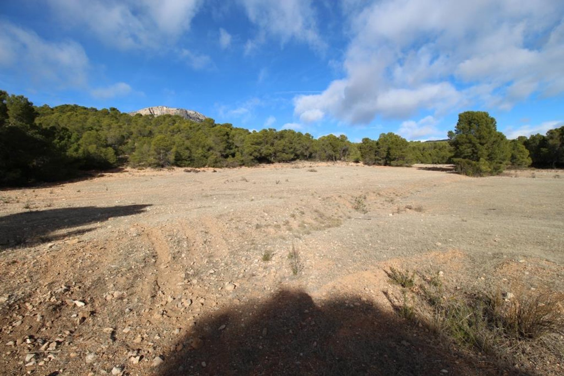 Resale - Plot / Land -
La Parroquia