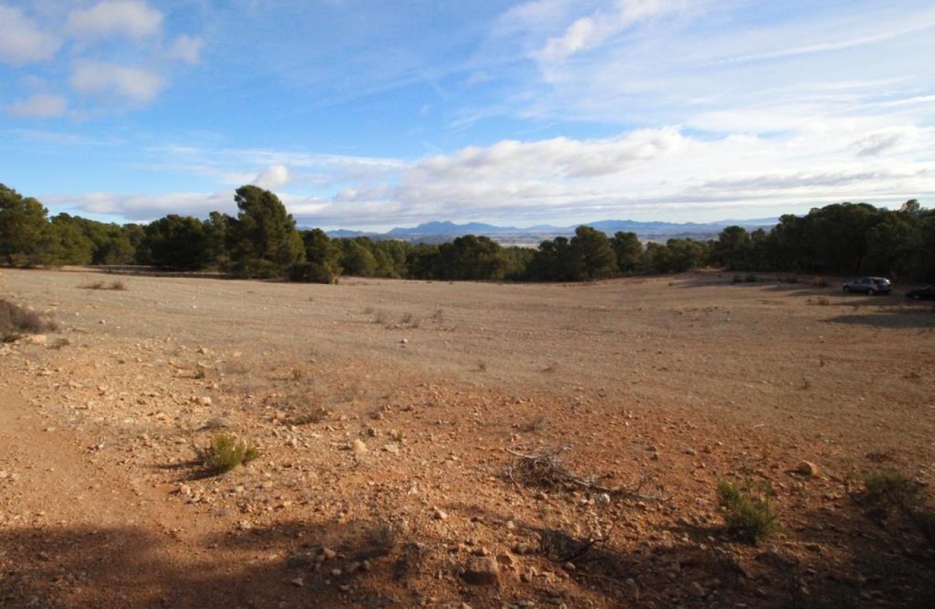 Resale - Plot / Land -
La Parroquia