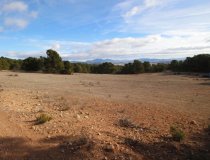 Resale - Plot / Land -
La Parroquia