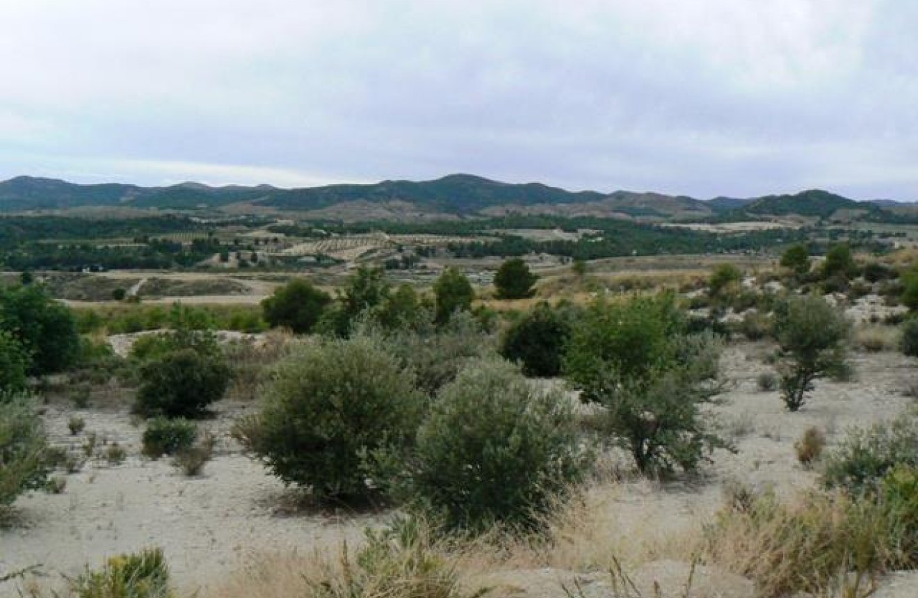 Resale - Plot / Land -
La Parroquia