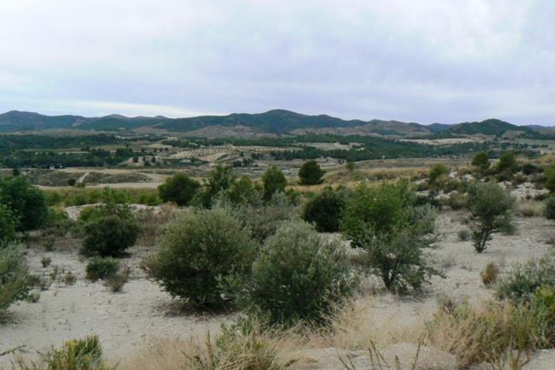 Resale - Plot / Land -
La Parroquia