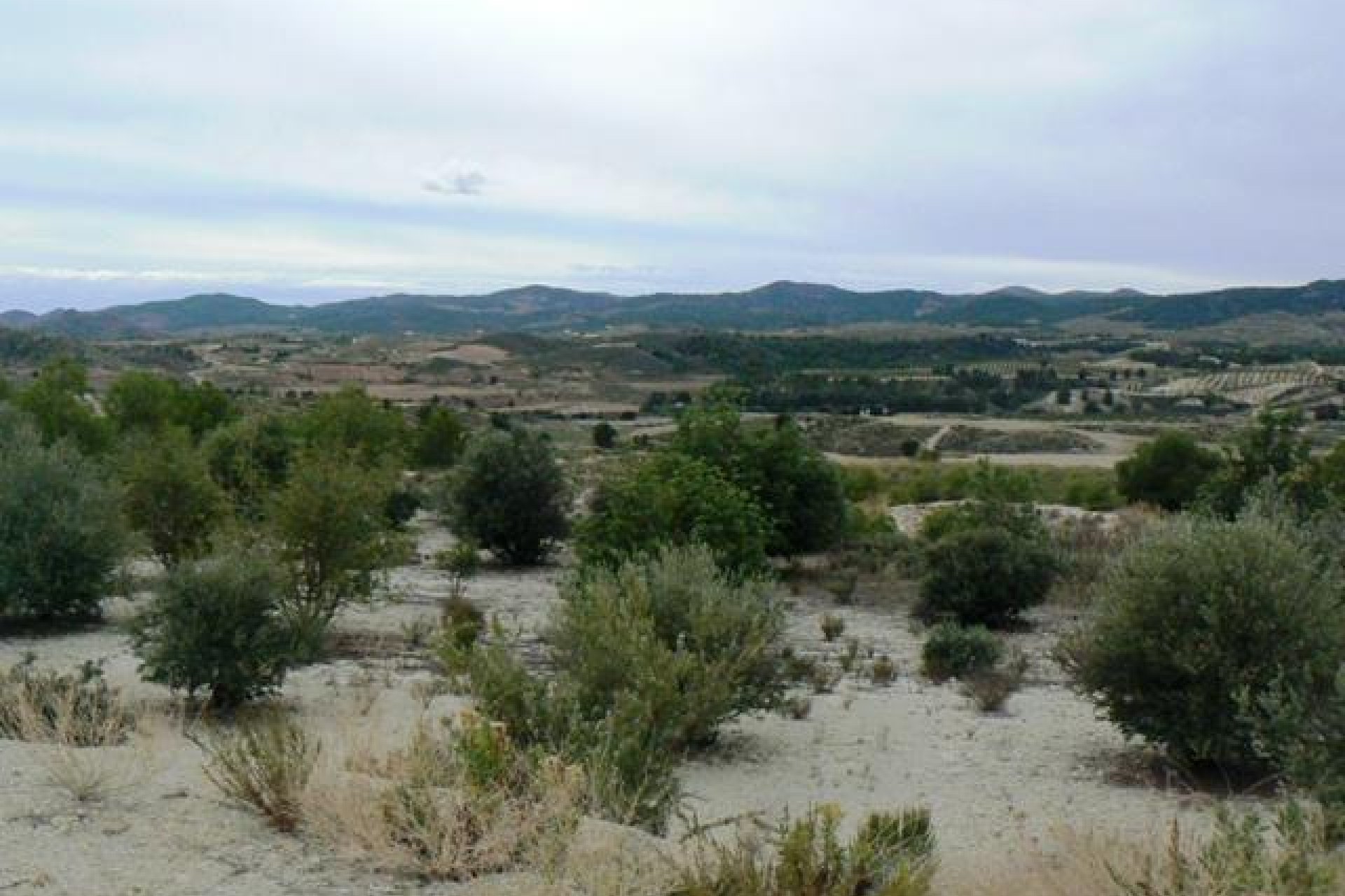 Resale - Plot / Land -
La Parroquia