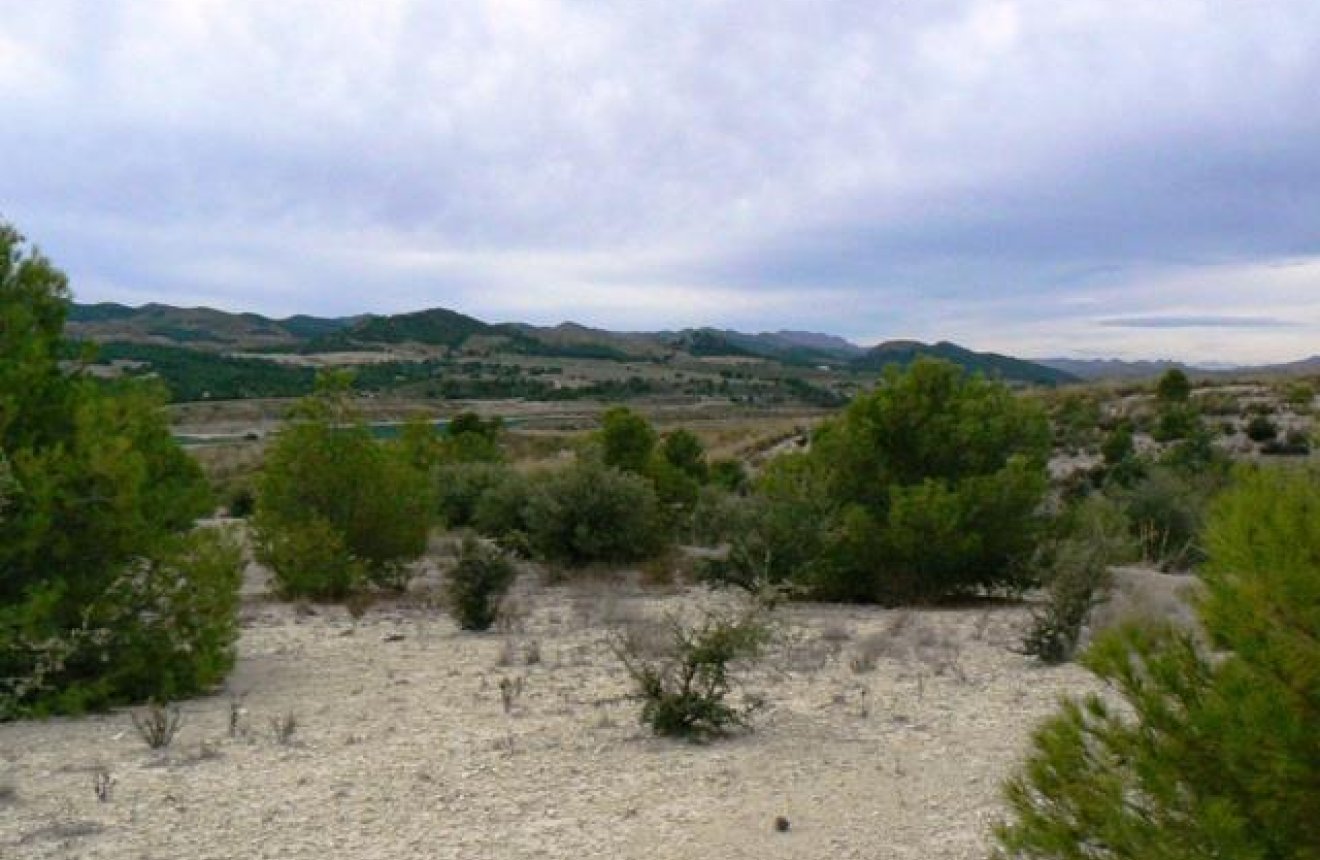 Resale - Plot / Land -
La Parroquia