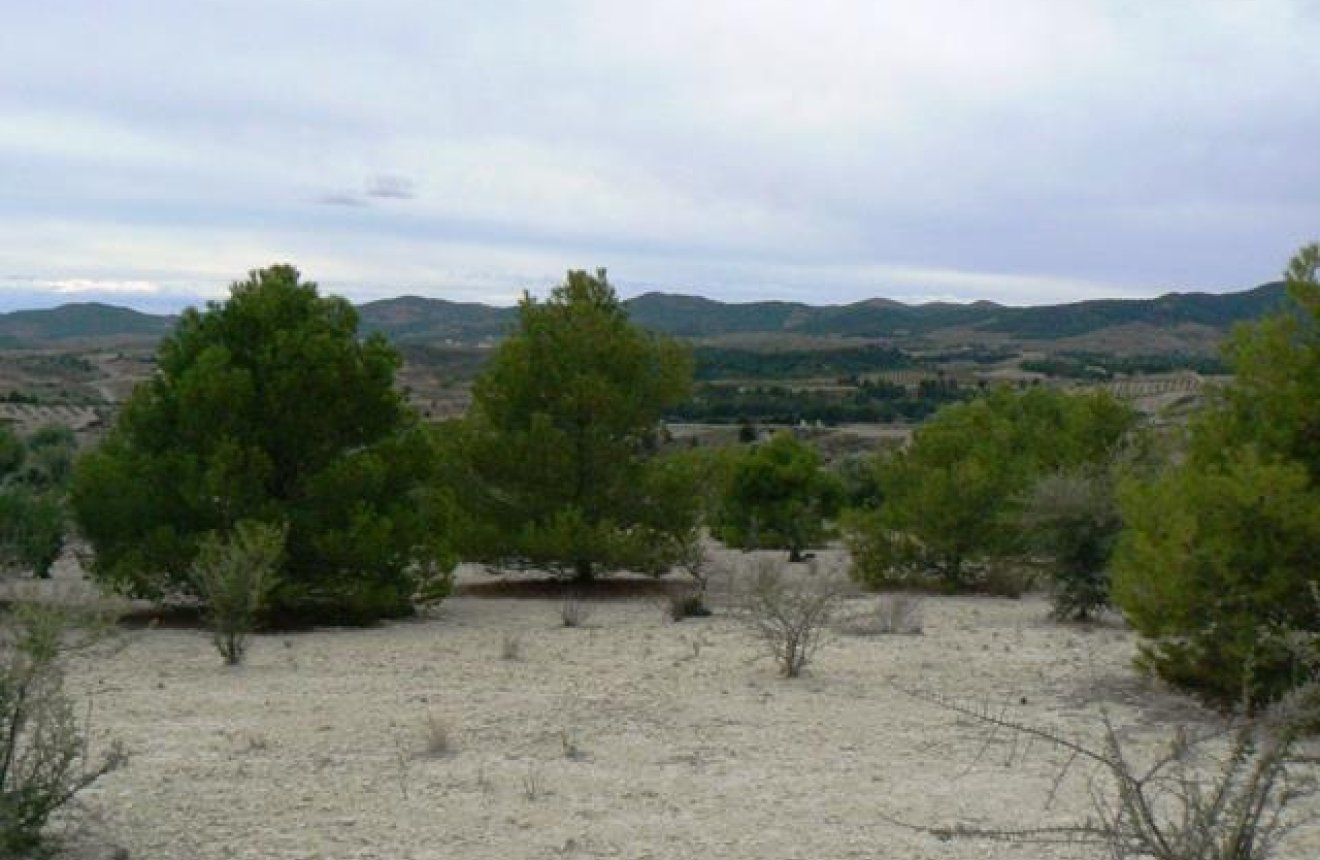 Resale - Plot / Land -
La Parroquia