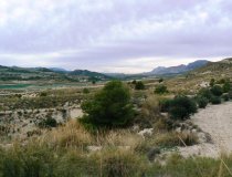Resale - Plot / Land -
La Parroquia