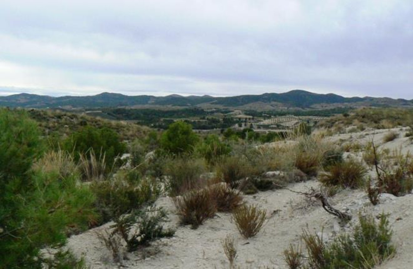 Resale - Plot / Land -
La Parroquia
