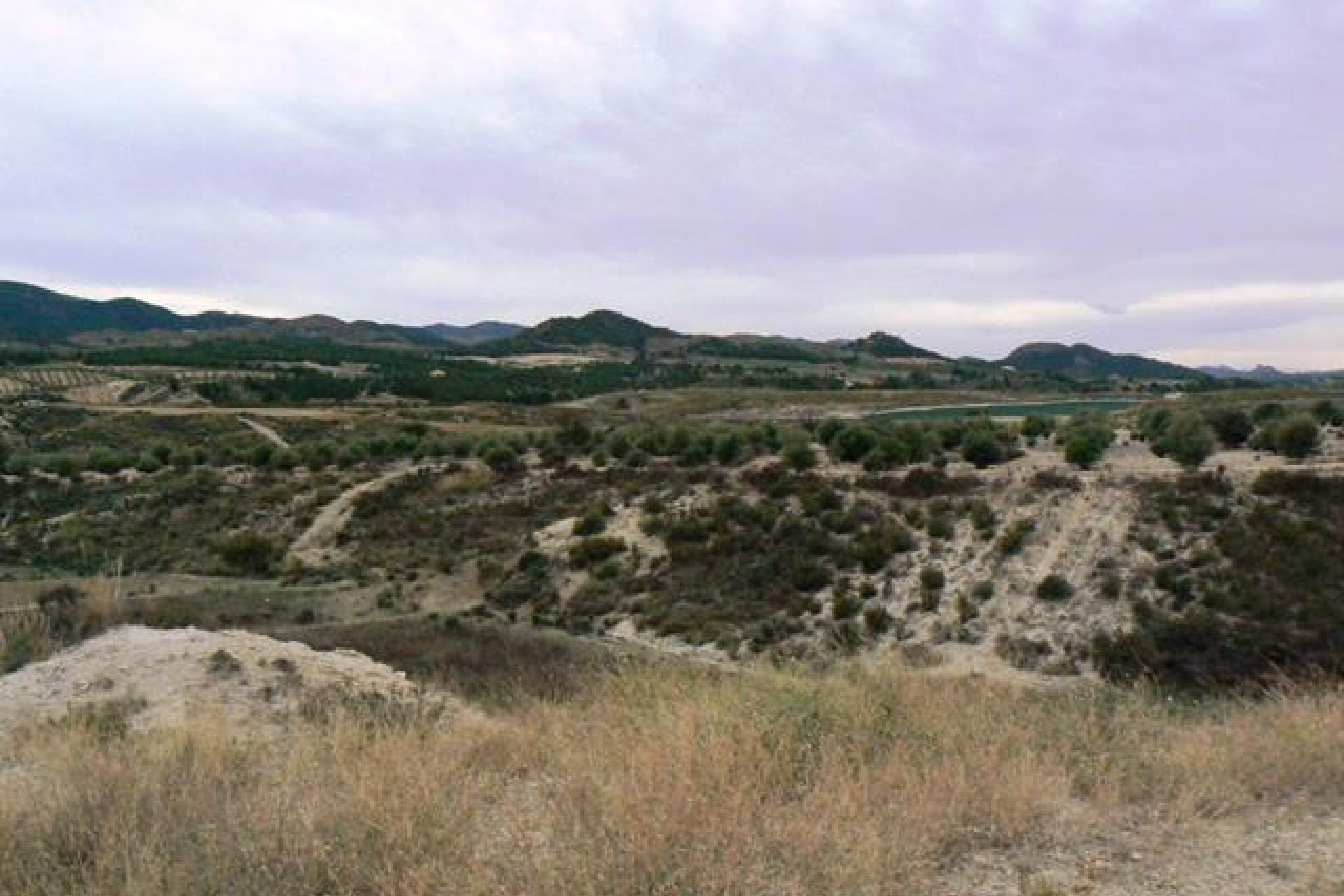 Resale - Plot / Land -
La Parroquia