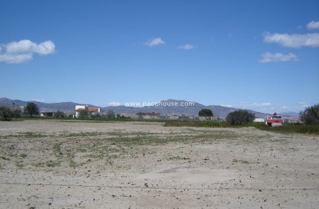 Resale - Plot / Land -
Purias