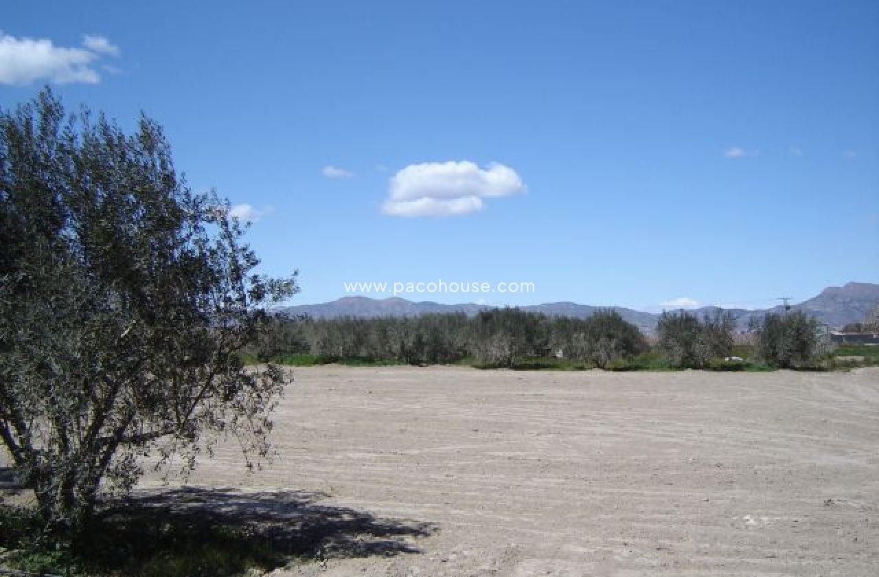 Resale - Plot / Land -
Purias