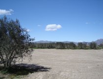Resale - Plot / Land -
Purias